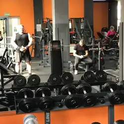 Алігатор - Співдружності