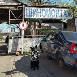Шиномонтаж