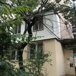 Ремесленная пекарня "PARSH" — Одеса