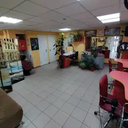 Еліт класік