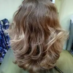 Elegante