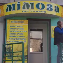 Мімоза
