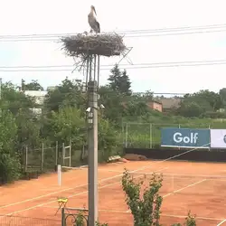 На Прирічному
