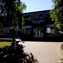 Дельфін