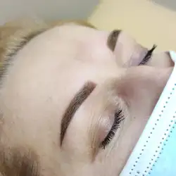 Славутська О.В. бровіст