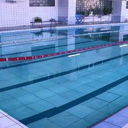 Спортивно-оздоровчий клуб "Зоряний"