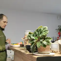 Кава в Музеї — Київ