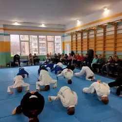 Академія Джіу Джитсу - Ореста Левицького