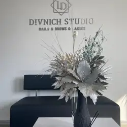 Divnich Studio — Житомир
