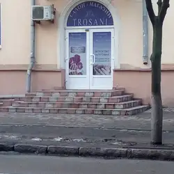 Trosani — Харьков