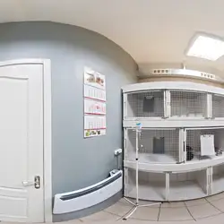 ВетЕксперт