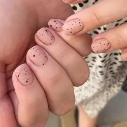 Nail X — Львів