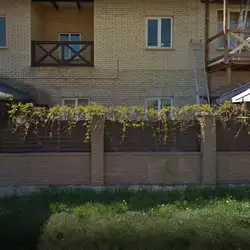 Депіляція - Виноградар
