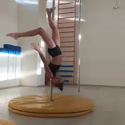 Pole Fly