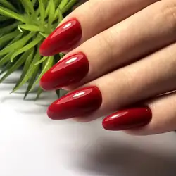 Марина Присяжнюк — Винница