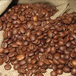 Umbrella coffee — Киев