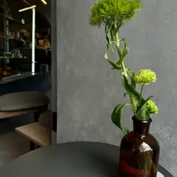 Ptashka Coffee