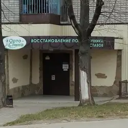 Орто-Спина