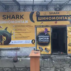Shark