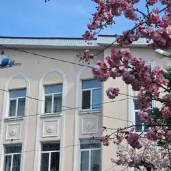 Ліцей Борисфен