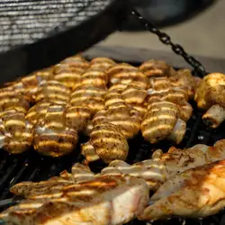 Mol’to Meat&Fish