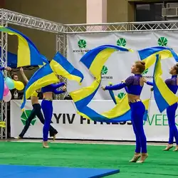Спортивно-хореографічний ансамбль Візінова