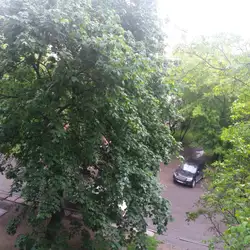 Ольвія