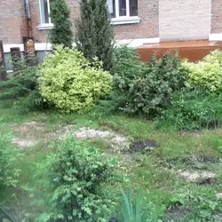 Ліцей №17