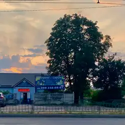 Айболіт ветклініка