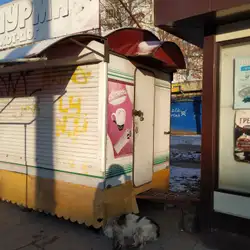 Кулиничи