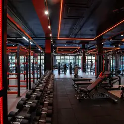 REGYM MARSHALL — Дніпро