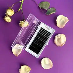 Angelash professional