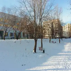 Слов'янська гімназія