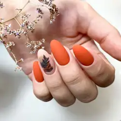 NailStory — Київ