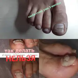 Людмила Гольоса