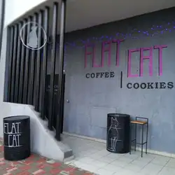 Flat Cat — Київ