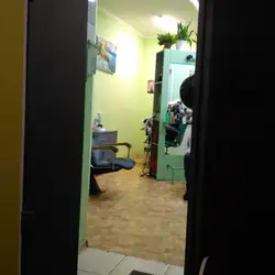 Лілія — Дніпро