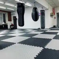 Taykan dojo 2