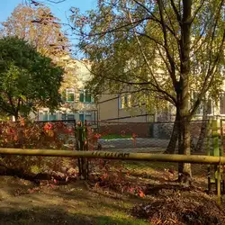 Дитячий садочок №295