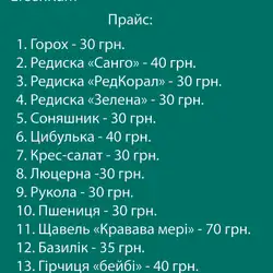 GreenKum — Черновцы