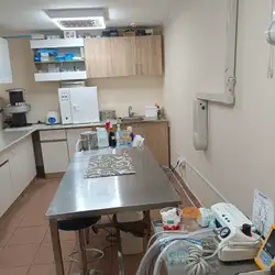 ЛеоВет плюс