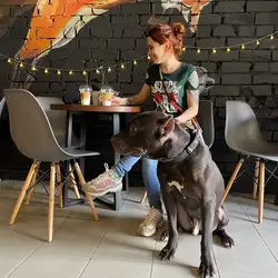 Coffee from the Fox — Кривой Рог