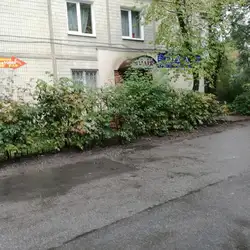 Лідія — Вінниця