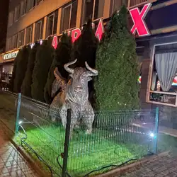 YAK На Крилах