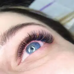 The Lash Art