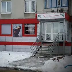Колібрі