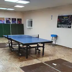 Настільний теніс