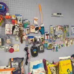 Ветклініка WellVet