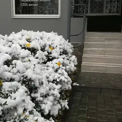 Sabotage — Кременчуг