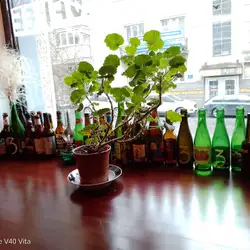 Beermingem
